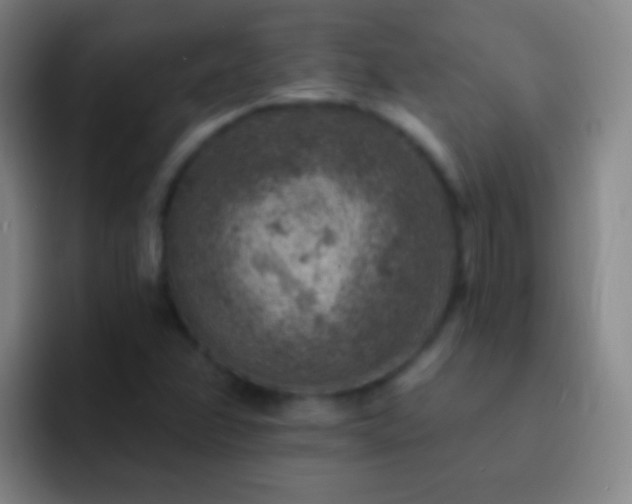 X0000092301358200709211224