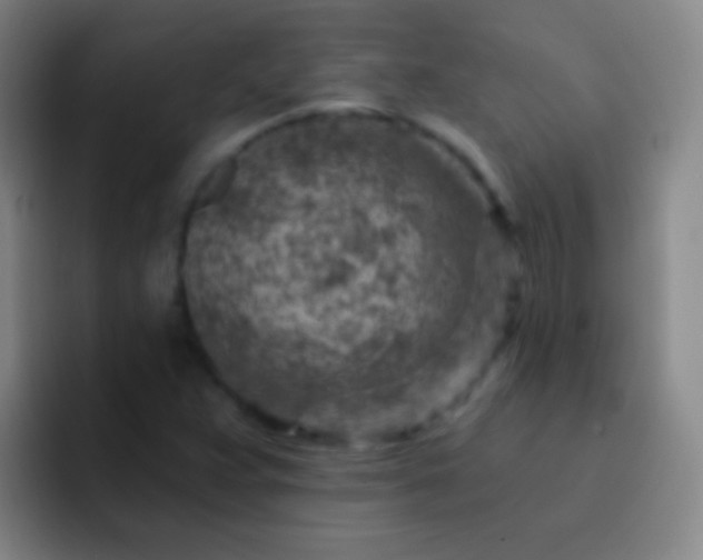 X0000092301359200709211224