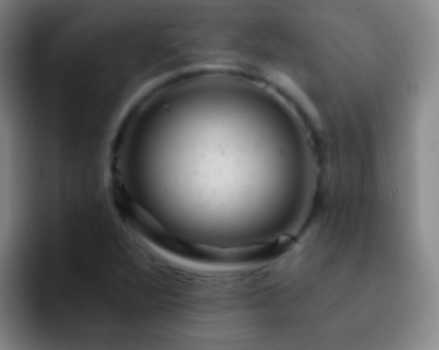 X0000092301360200709211224