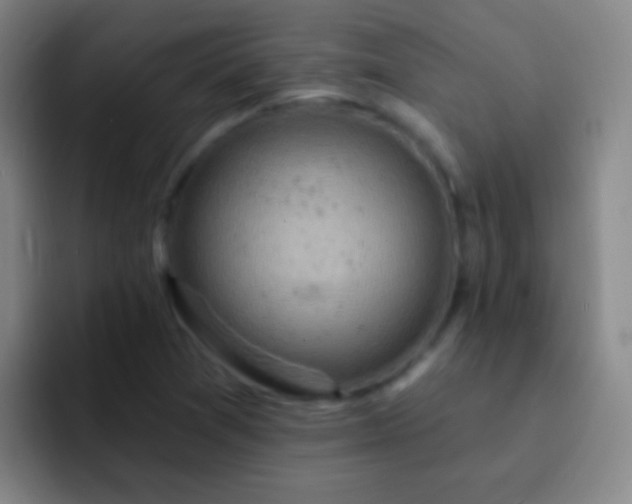 X0000092301361200709211224