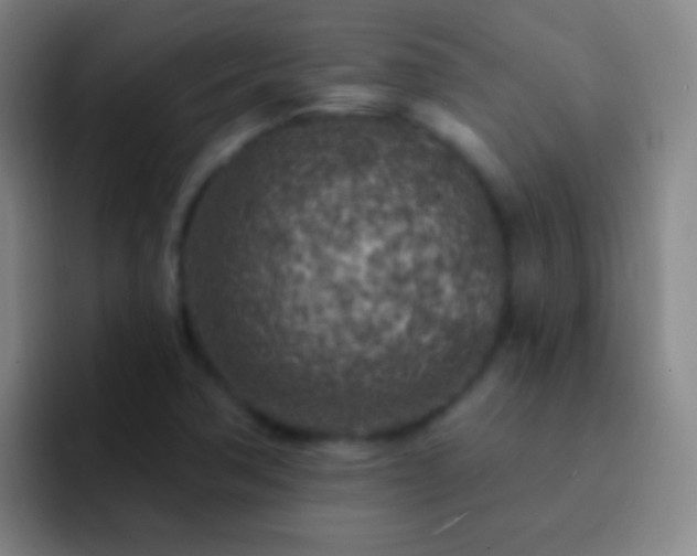 X0000092301362200709211224