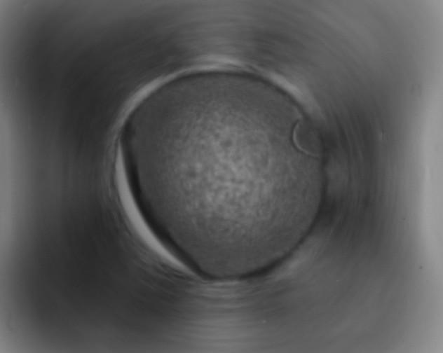 X0000092301363200709211224