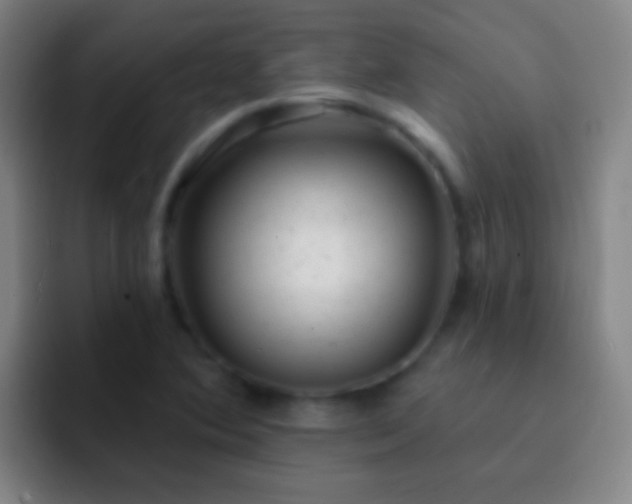 X0000092301364200709211223