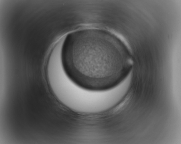 X0000092301365200709211223