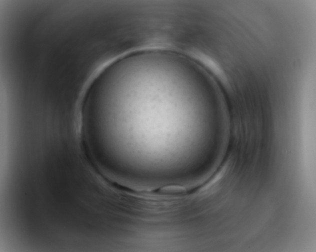 X0000092301366200709211223