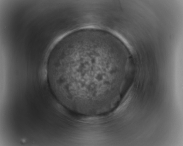 X0000092301367200709211223