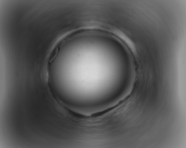 X0000092301368200709211223