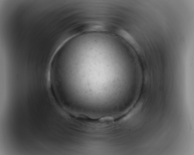 X0000092301370200709211223
