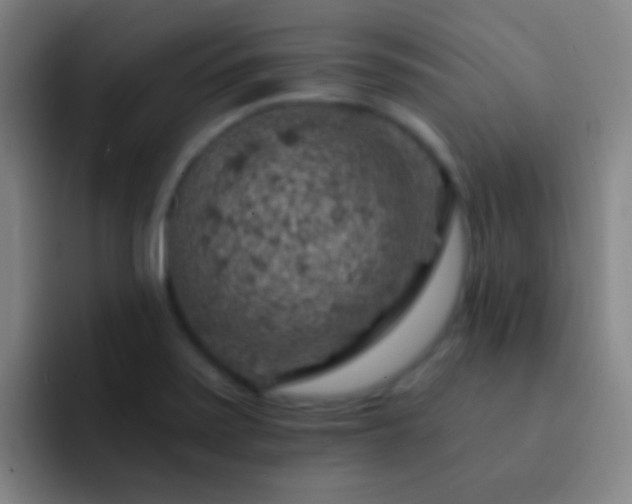 X0000092301371200709211223