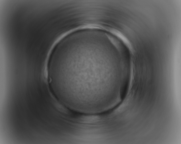 X0000092301372200709211223