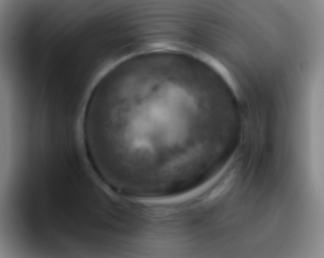 X0000092301373200709211223