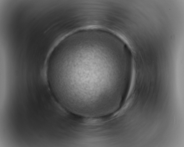 X0000092301374200709211223