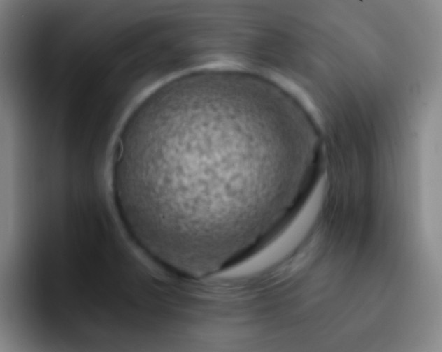 X0000092301375200709211223