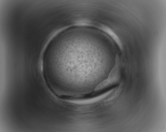 X0000092301376200709211223