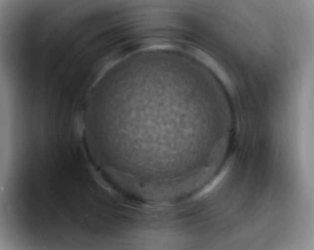 X0000092301377200709211223