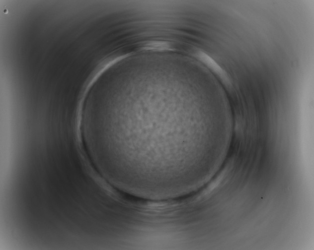 X0000092301378200709211223