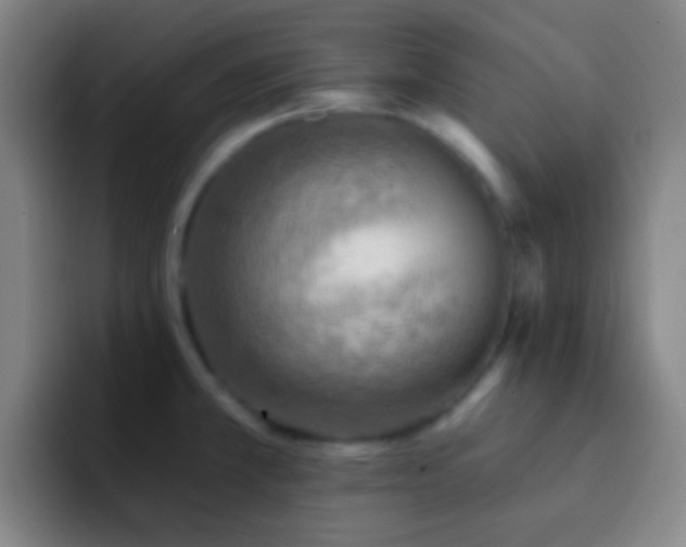 X0000092301381200709211223