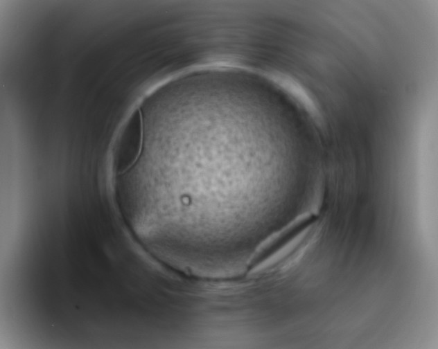 X0000092301382200709211223