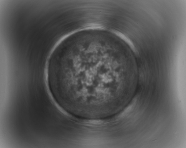 X0000092301383200709211223