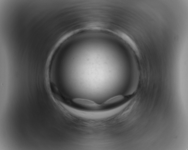 X0000092301384200709211223