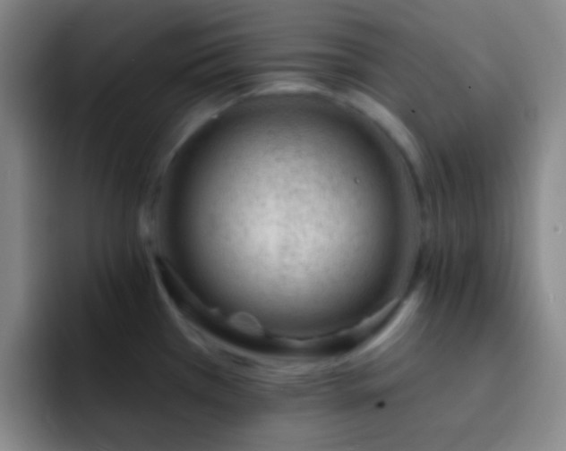 X0000092301385200709211223