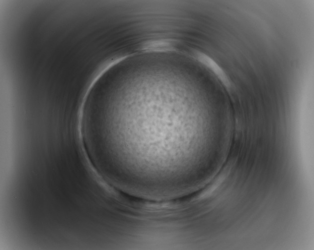 X0000092301386200709211223