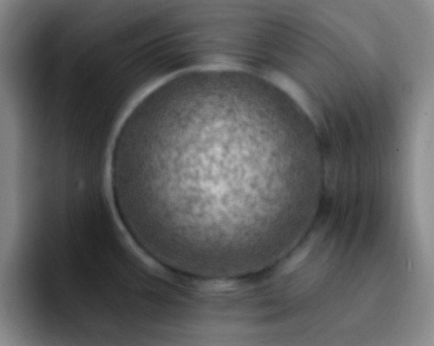 X0000092301387200709211223