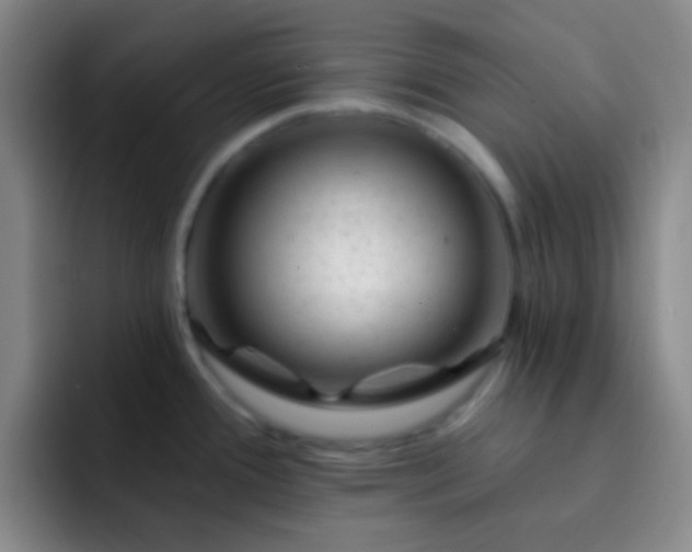 X0000092301388200709211223