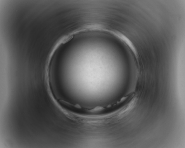 X0000092301389200709211223