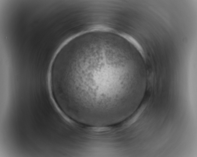 X0000092301391200709211223