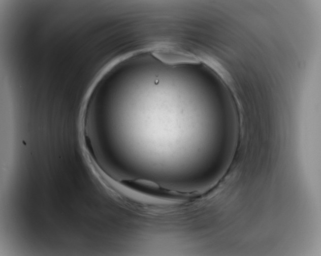 X0000092301392200709211223