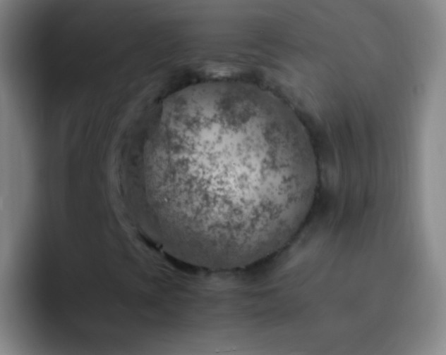 X0000092301393200709211223