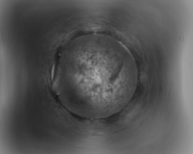X0000092301397200709211223