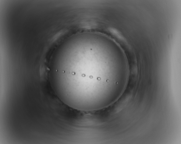 X0000092301398200709211223