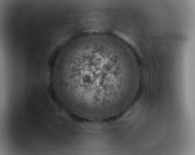 X0000092301399200709211223