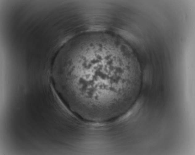 X0000092301401200709211223