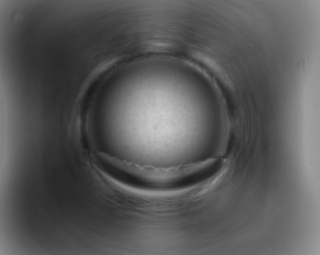 X0000092301402200709211223