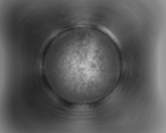 X0000092301403200709211223