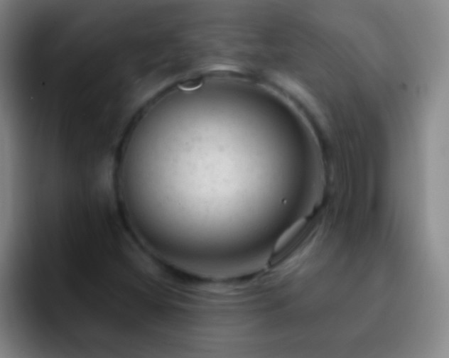 X0000092301404200709211223