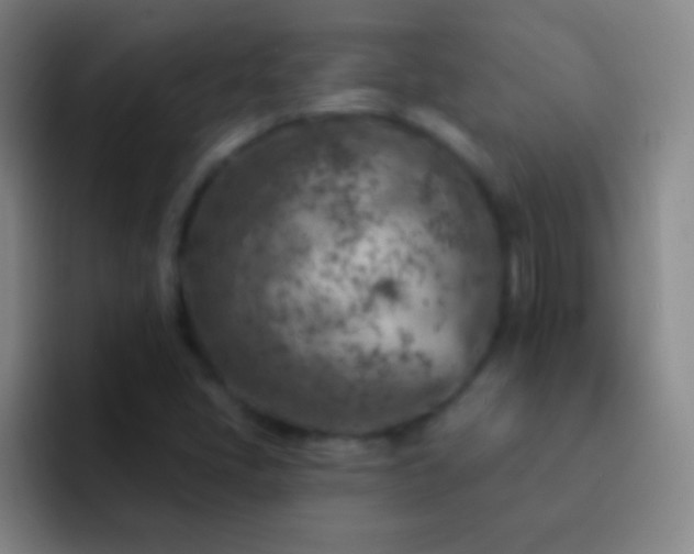 X0000092301405200709211223
