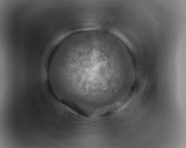 X0000092301407200709211223