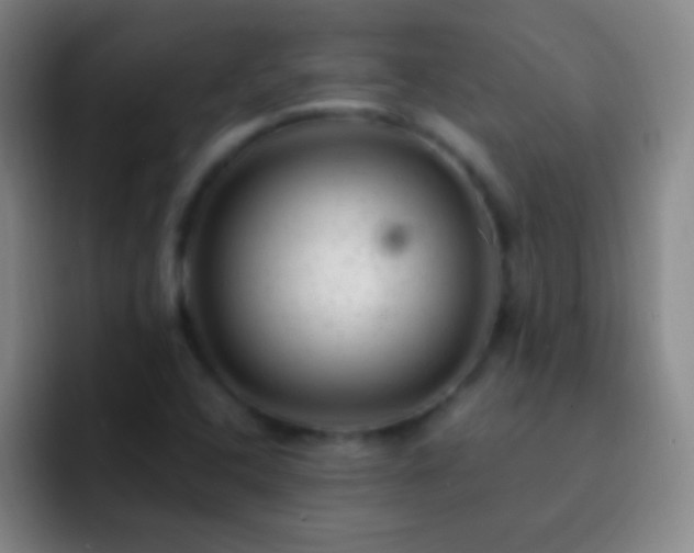 X0000092301408200709211223