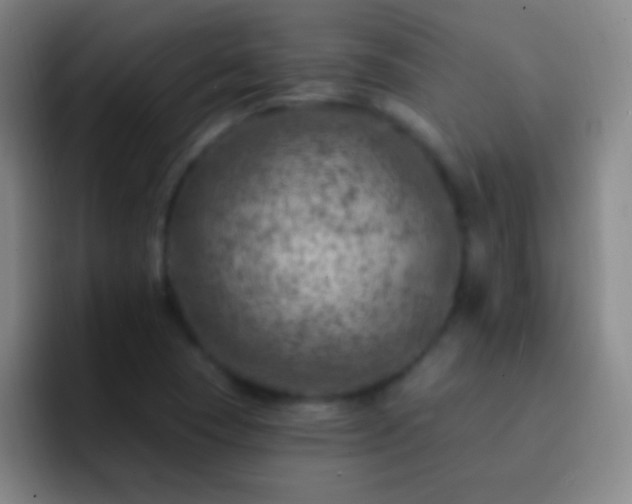 X0000092301409200709211223