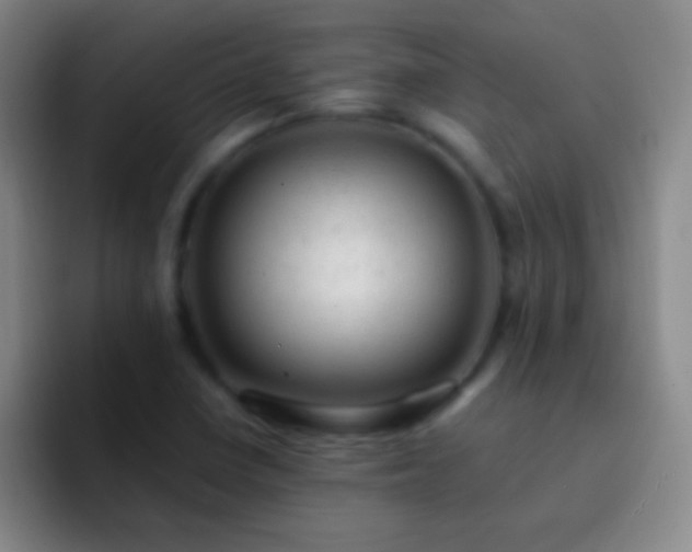 X0000092301410200709211223