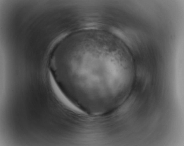 X0000092301411200709211223