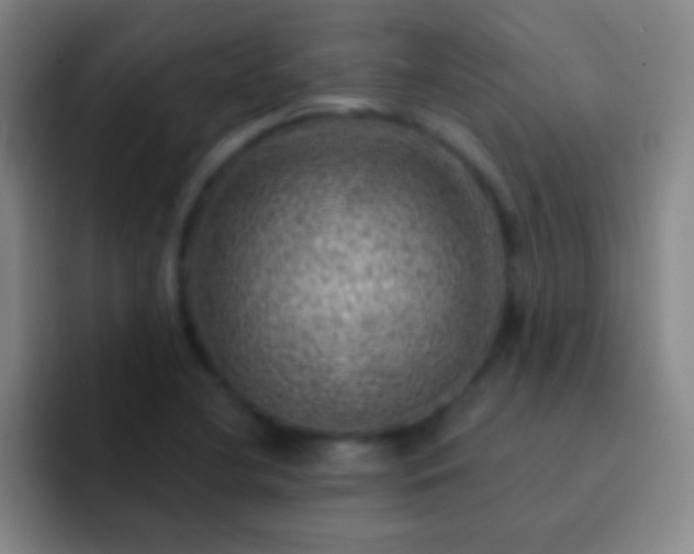 X0000092301412200709211223