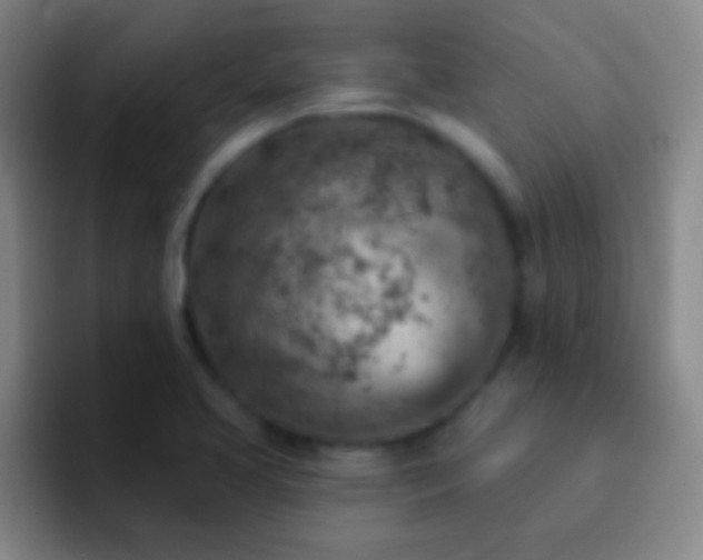 X0000092301413200709211223