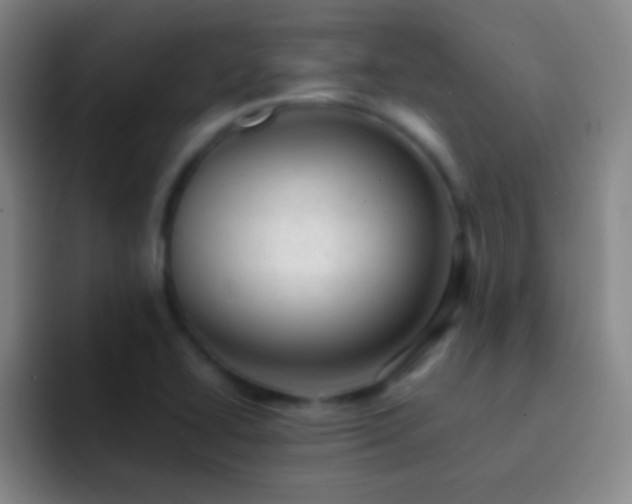 X0000092301414200709211223