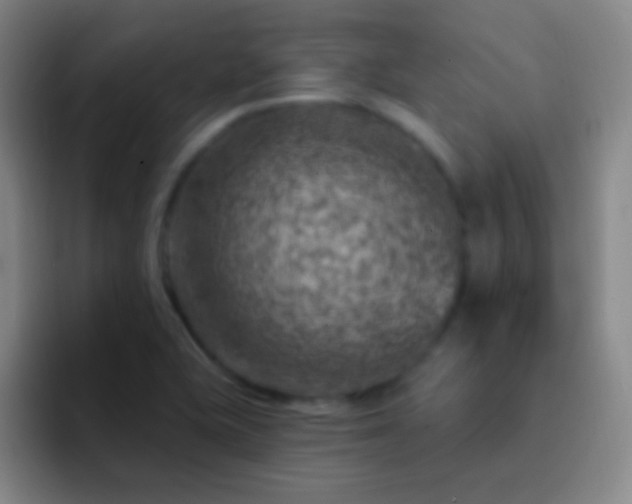 X0000092301415200709211223