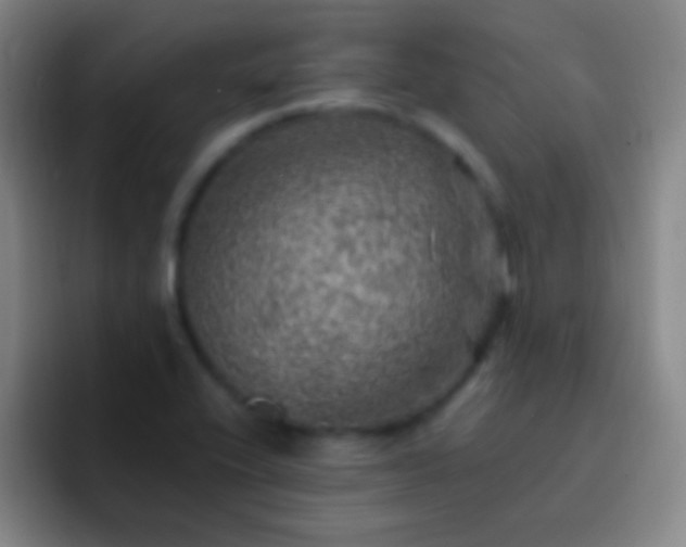 X0000092301416200709211223